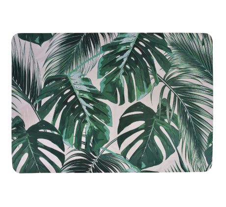 monstera