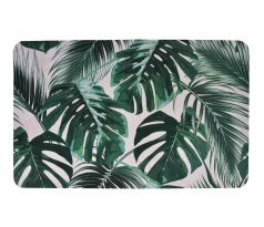 monstera